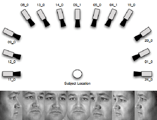 Figure 3 for Multi-task Image Classification via Collaborative, Hierarchical Spike-and-Slab Priors