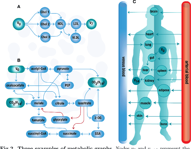 Figure 3 for A deep language model to predict metabolic network equilibria