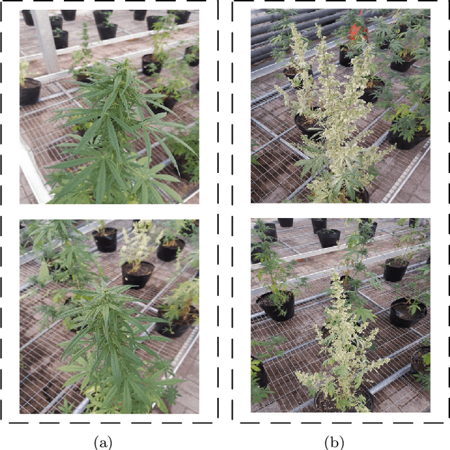 Figure 3 for Model Embedded DRL for Intelligent Greenhouse Control