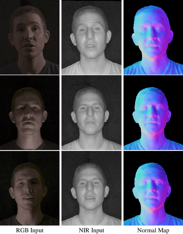 Figure 1 for A Dark Flash Normal Camera