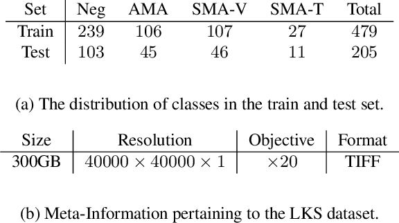 Figure 2 for SOS: Selective Objective Switch for Rapid Immunofluorescence Whole Slide Image Classification