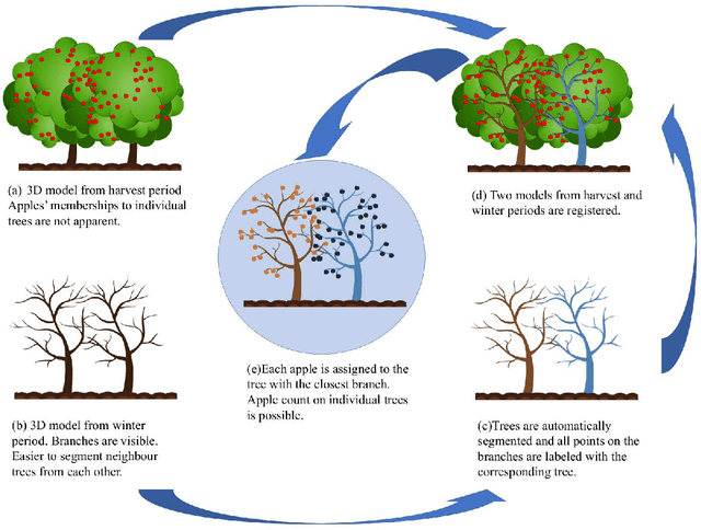 Figure 1 for Assigning Apples to Individual Trees in Dense Orchards using 3D Color Point Clouds