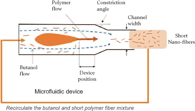 Figure 3 for Bayesian functional optimisation with shape prior