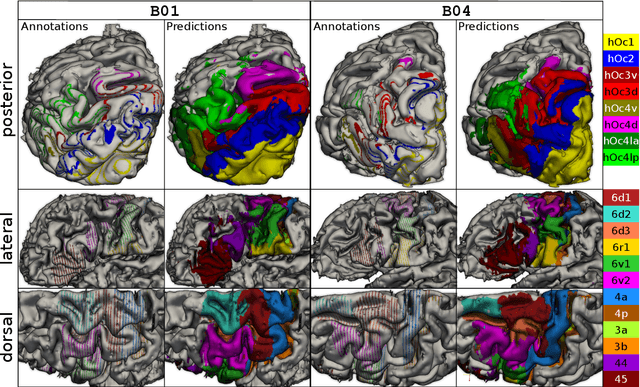 Figure 4 for 2D histology meets 3D topology: Cytoarchitectonic brain mapping with Graph Neural Networks