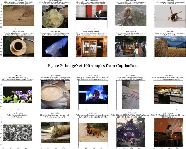 Figure 4 for Caption supervision enables robust learners