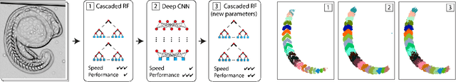 Figure 1 for Mapping Auto-context Decision Forests to Deep ConvNets for Semantic Segmentation