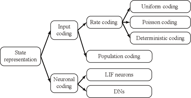 Figure 3 for Population-coding and Dynamic-neurons improved Spiking Actor Network for Reinforcement Learning