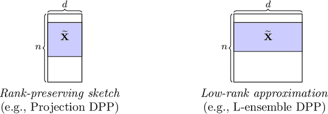 Figure 1 for Determinantal Point Processes in Randomized Numerical Linear Algebra