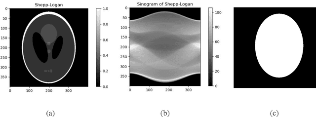 Figure 1 for Noise-resistant reconstruction algorithm based on the sinogram pattern