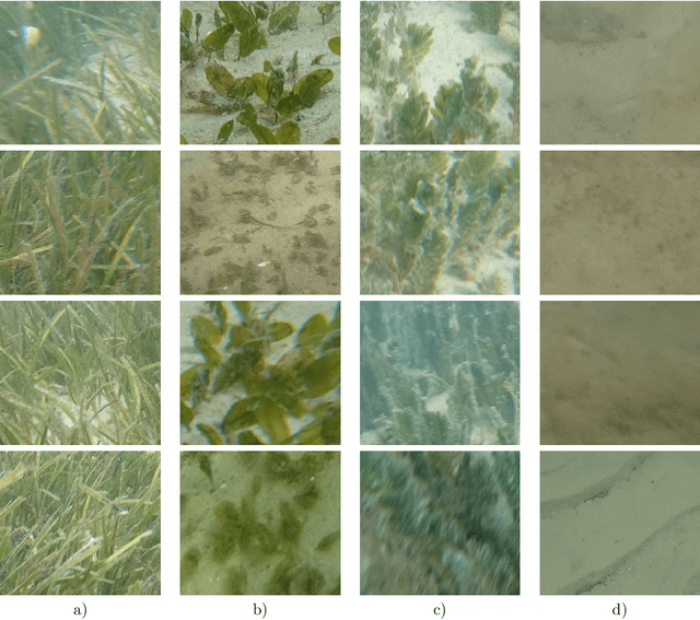 Figure 4 for DeepSeagrass Dataset