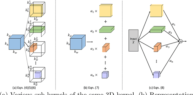 Figure 3 for CAKES: Channel-wise Automatic KErnel Shrinking for Efficient 3D Network