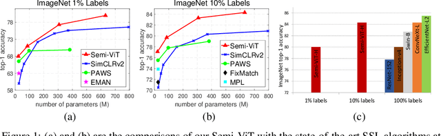 Figure 1 for Semi-supervised Vision Transformers at Scale