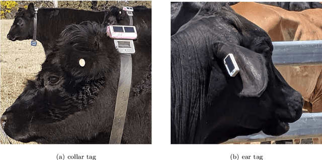 Figure 3 for Animal Behavior Classification via Accelerometry Data and Recurrent Neural Networks