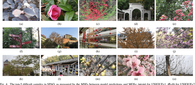 Figure 4 for Image Quality Assessment: Integrating Model-Centric and Data-Centric Approaches