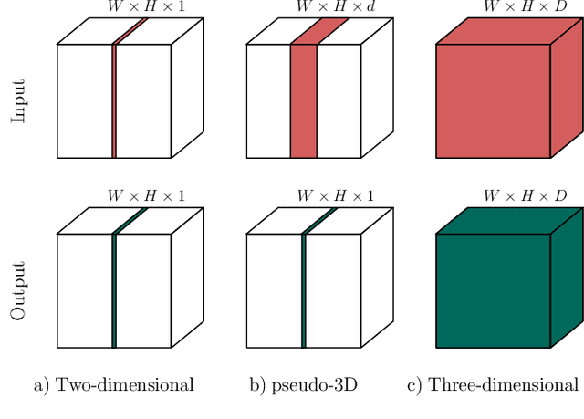 Figure 1 for Evaluation of Multi-Slice Inputs to Convolutional Neural Networks for Medical Image Segmentation