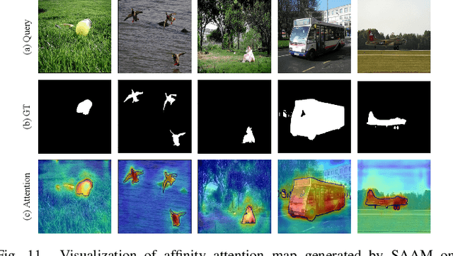 Figure 3 for A Self-Distillation Embedded Supervised Affinity Attention Model for Few-Shot Segmentation