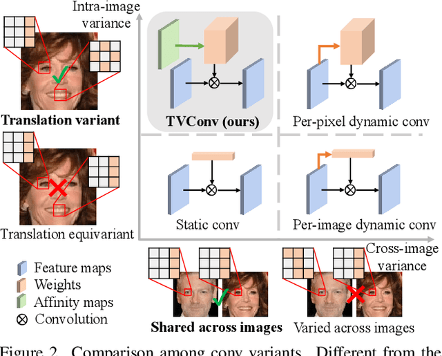 Figure 3 for TVConv: Efficient Translation Variant Convolution for Layout-aware Visual Processing