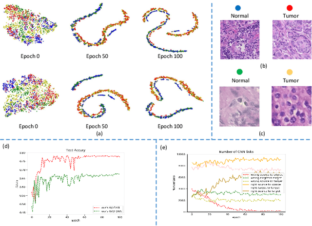 Figure 4 for Graph Neural Networks for UnsupervisedDomain Adaptation of Histopathological ImageAnalytics