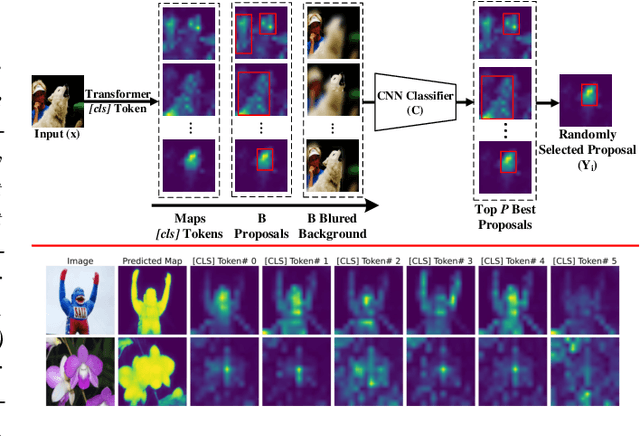 Figure 1 for Discriminative Sampling of Proposals in Self-Supervised Transformers for Weakly Supervised Object Localization