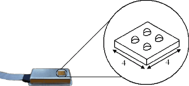 Figure 2 for Artificial Skin Ridges Enhance Local Tactile Shape Discrimination