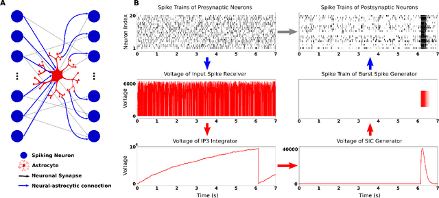 Figure 2 for Introducing Astrocytes on a Neuromorphic Processor: Synchronization, Local Plasticity and Edge of Chaos