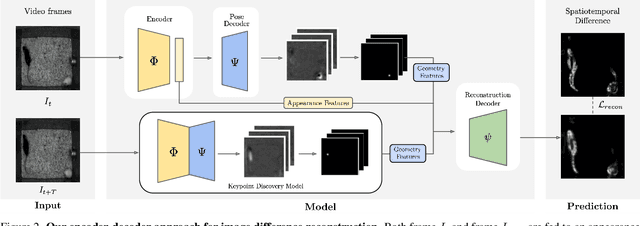 Figure 2 for Self-Supervised Keypoint Discovery in Behavioral Videos