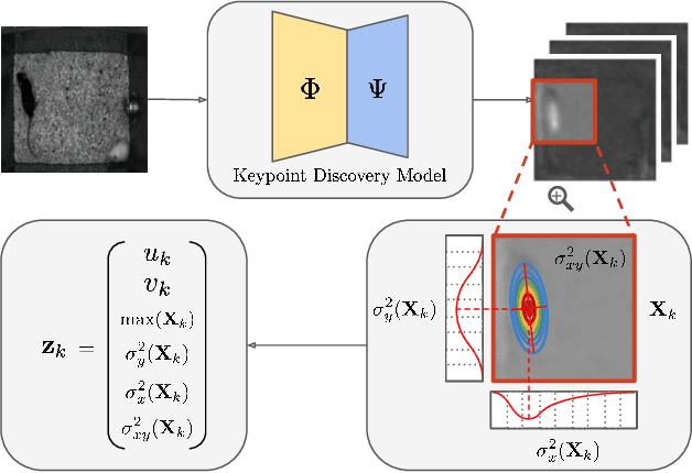 Figure 4 for Self-Supervised Keypoint Discovery in Behavioral Videos