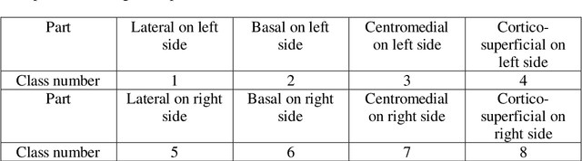 Figure 1 for Investigations of the Influences of a CNN's Receptive Field on Segmentation of Subnuclei of Bilateral Amygdalae