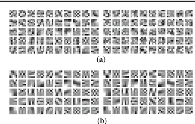 Figure 3 for A Bimodal Co-Sparse Analysis Model for Image Processing