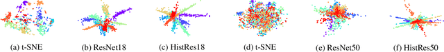 Figure 4 for Divergence Regulated Encoder Network for Joint Dimensionality Reduction and Classification