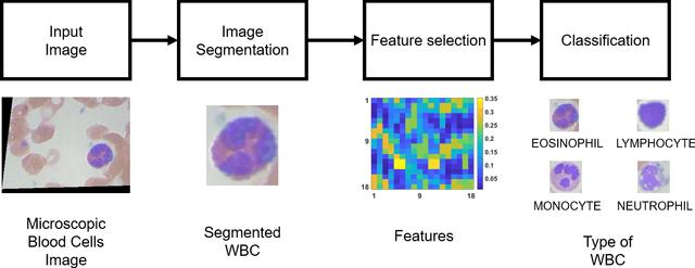Figure 1 for Multi-Class Classification of Blood Cells -- End to End Computer Vision based diagnosis case study