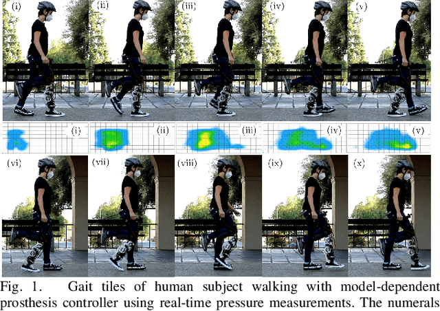 Figure 1 for Model-Dependent Prosthesis Control with Real-Time Force Sensing