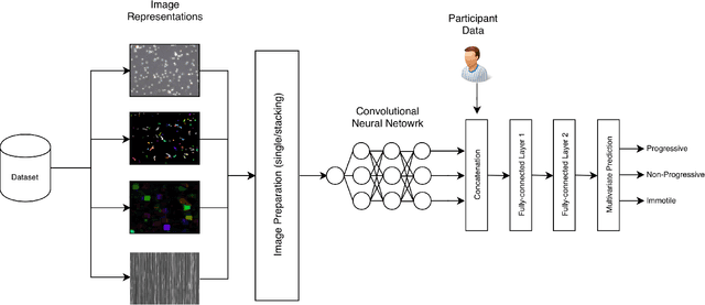 Figure 3 for Machine Learning-Based Analysis of Sperm Videos and Participant Data for Male Fertility Prediction