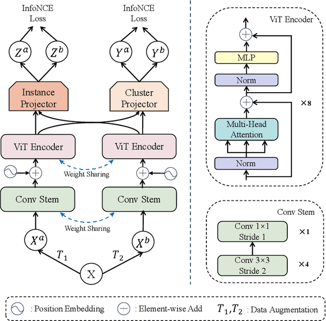 Figure 1 for Vision Transformer for Contrastive Clustering