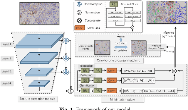 Figure 1 for End-to-end cell recognition by point annotation