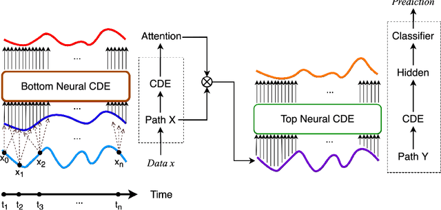 Figure 3 for Attentive Neural Controlled Differential Equations for Time-series Classification and Forecasting