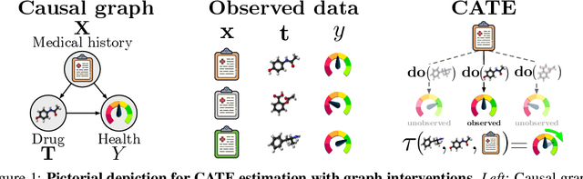 Figure 1 for Graph Intervention Networks for Causal Effect Estimation