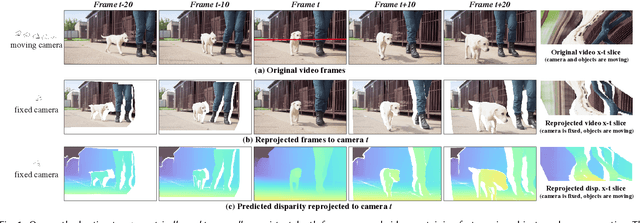 Figure 1 for Consistent Depth of Moving Objects in Video
