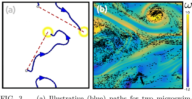 Figure 4 for Path-planning microswimmers can swim efficiently in turbulent flows