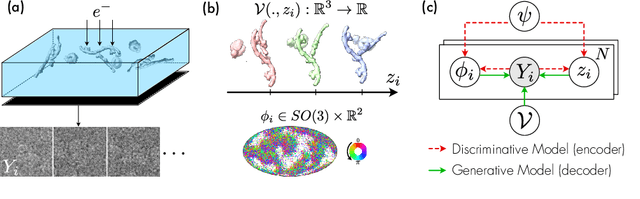 Figure 1 for Amortized Inference for Heterogeneous Reconstruction in Cryo-EM