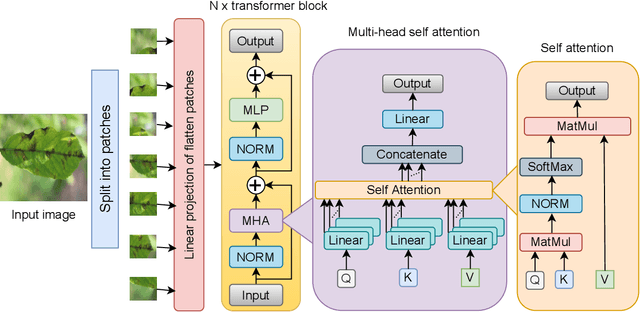 Figure 2 for Explainable vision transformer enabled convolutional neural network for plant disease identification: PlantXViT