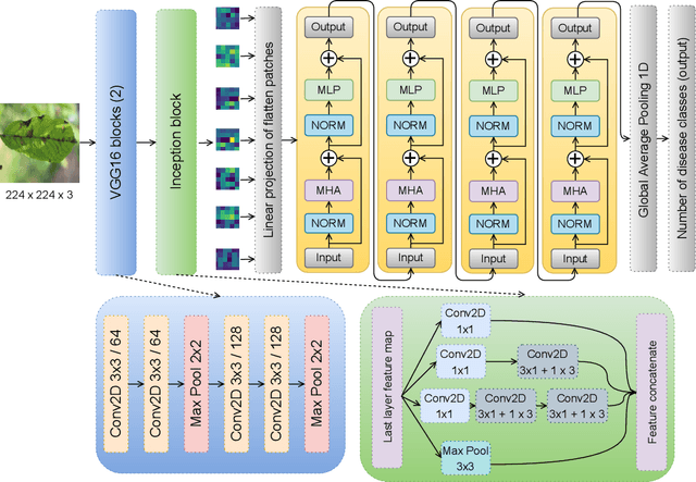 Figure 3 for Explainable vision transformer enabled convolutional neural network for plant disease identification: PlantXViT