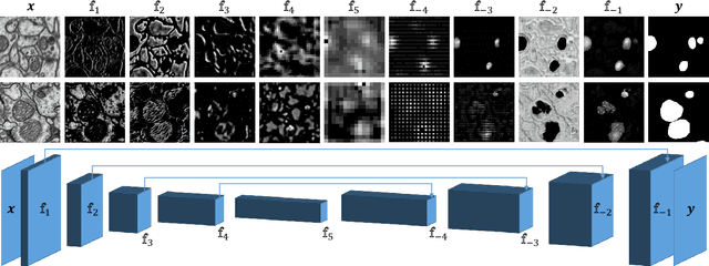 Figure 1 for Domain Adaptive Segmentation in Volume Electron Microscopy Imaging