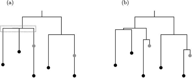 Figure 1 for Non-bifurcating phylogenetic tree inference via the adaptive LASSO
