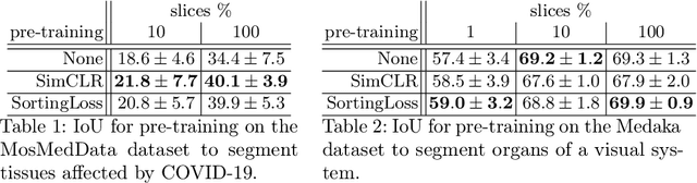 Figure 2 for Using the Order of Tomographic Slices as a Prior for Neural Networks Pre-Training