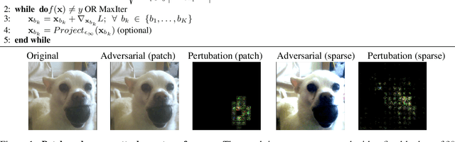 Figure 1 for Adversarial Token Attacks on Vision Transformers