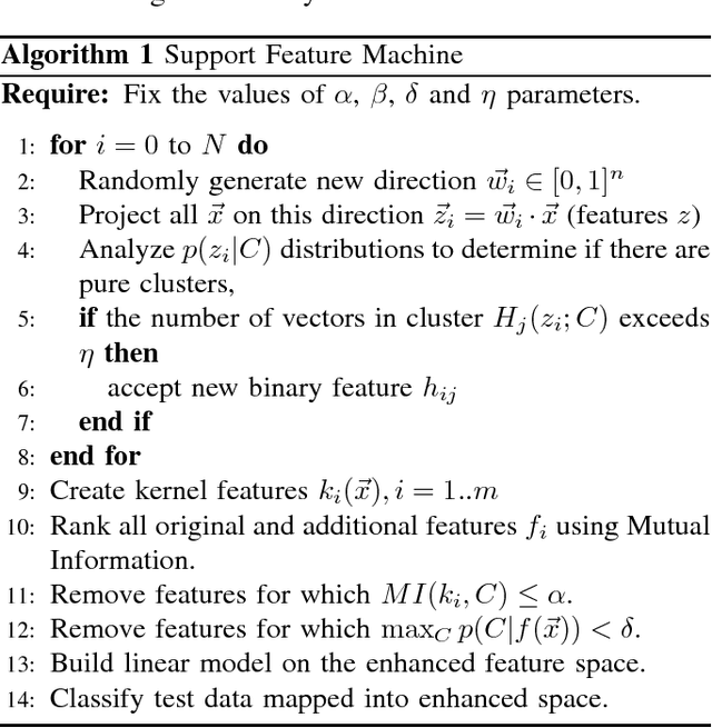 Figure 1 for Support Feature Machines