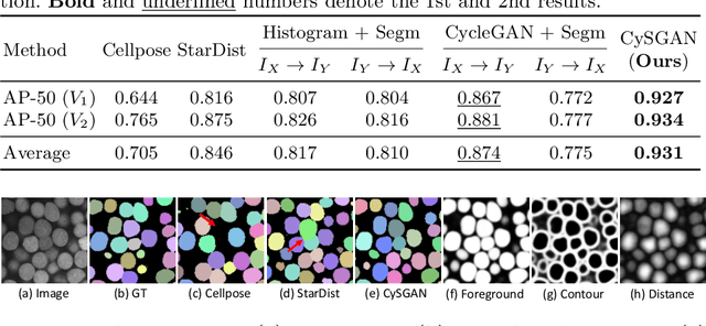 Figure 4 for Instance Segmentation of Unlabeled Modalities via Cyclic Segmentation GAN