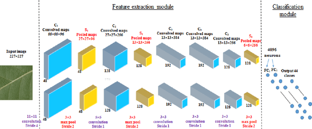 Figure 3 for Deep-Plant: Plant Identification with convolutional neural networks