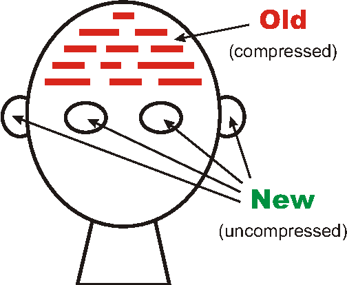 Figure 1 for Smart machines and the SP theory of intelligence